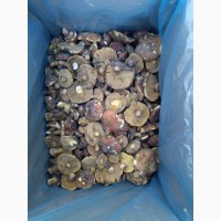 Продам гриби маслята заморожені