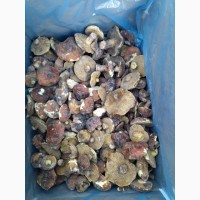 Продам гриби маслята заморожені