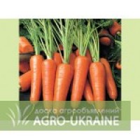 Морковь оптом Крым