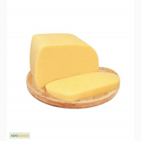 Технологию производства сыра продам