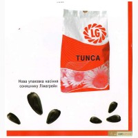 Продам посівний матеріал насіння соняшнику Тунка