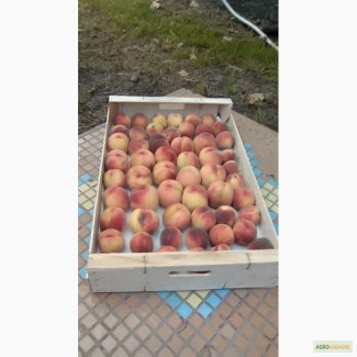Ящики для персика