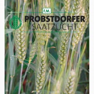 Семена озимой пшеницы Галлио, Адессо, Роланд (Австрия) 2019
