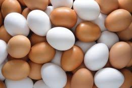 Фото 2. Продам яйца куриные С-1, С-2 свежие диетические
