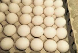 Фото 3. Продам яйца куриные С-1, С-2 свежие диетические