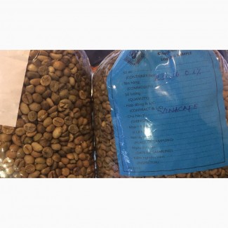 Green bean Coffe R13, R16, R18 Vietnam