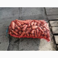 Продам морковь Абака, Боливар