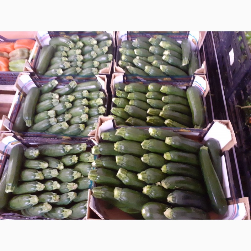 Фото 3. Итальянская компания надасть великий асортимент продуктов от зелени до фруктов и овощей по
