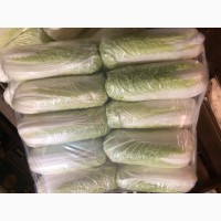 Продам пекинскую капусту от 20 тонн