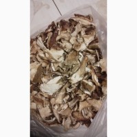 Продам Білі сушені гриби