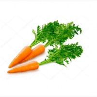 Оптова компанія закуповує моркву оптом з відтермінуванням 14-30 днів