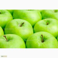 Закупаем яблоки зеленых сортов на переработку