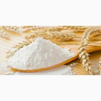 Производитель продаст оптом муку пшеничную в/c- 1/с. цена 8.80 грн/кг от 5/ т
