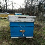 Продам ульи пчелиные, корпуса рута, суш