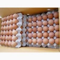 Продам яйцо куриные оптом с-1 с-2 чистые крупные свежие