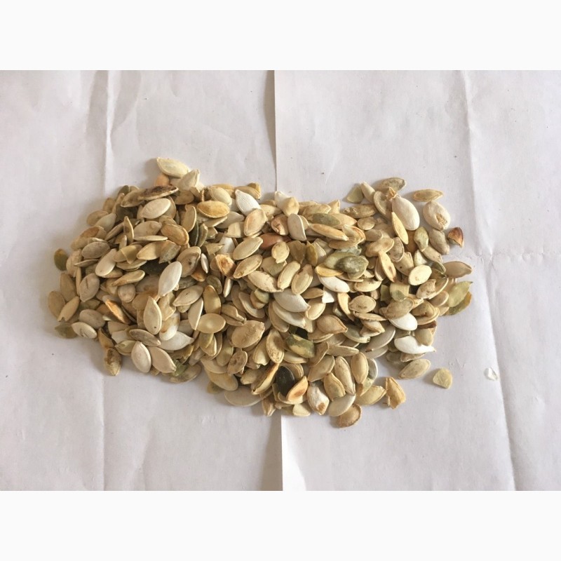 Продаємо ядро гарбузового насіння, українська багатоплідна, голозерна