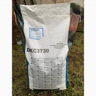 Гібрид кукурудзи ДКС 3730 (DKC 3730) - насіння кукурудзи