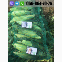 Продам кукурузу(кочан) c поля, цена договорная(июль 2020)