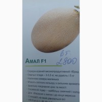Продам насіння дині 1поколение Амал, Кредо, Нево, Мазин