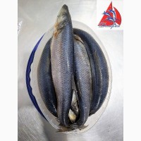 Рыба слабо-соленая