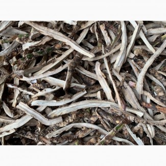 Продам корень Аира, Калган, брусничник лист