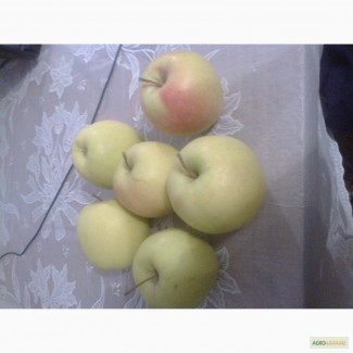 Продам яблука з Польщі
