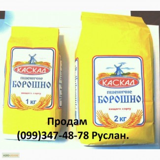 Flour for export