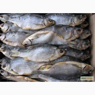 Продам сушеную речную рыбу