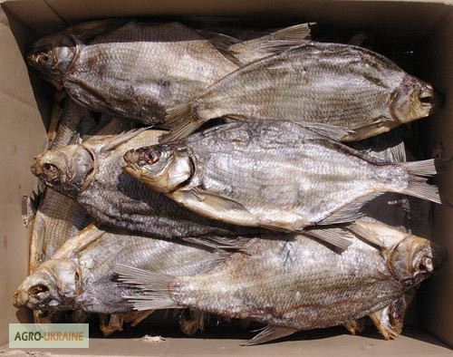 Фото 3. Продам сушеную речную рыбу