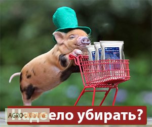 Ферментационная подстилка Нетто-Пласт в Украине(для кур, индюков, свиней, КРС)