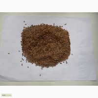 Продам посевной материал льна масличного