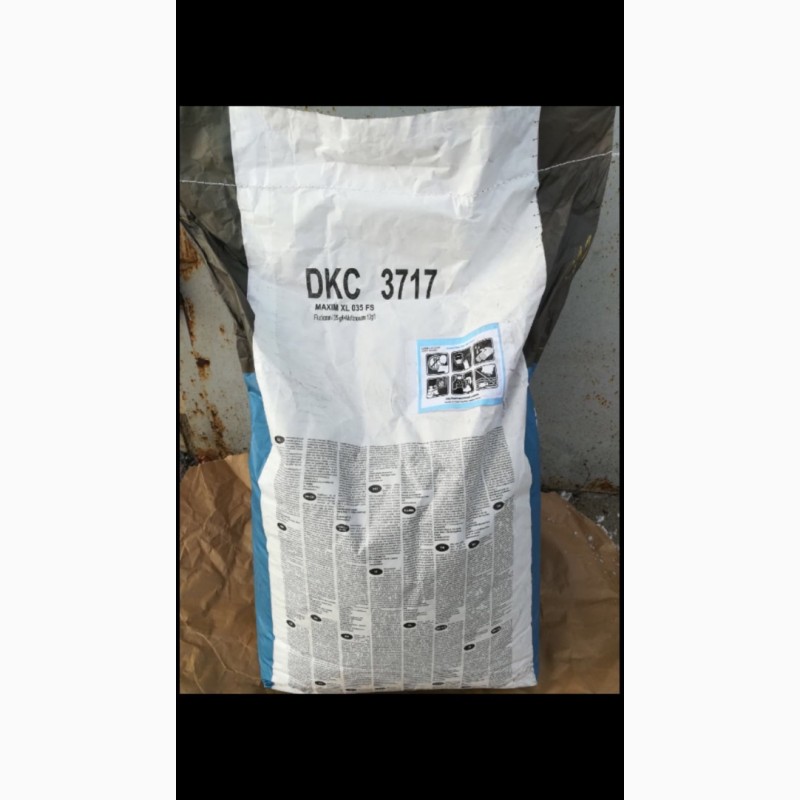 Фото 2. Продам семена кукурузы Монсанто DKC 440, DKC 3717, DKC 3507, DKC 4014, DKC 3511