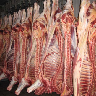 Продаем свинину и говядину в полутушах хорошого качества