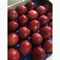 Продамо газовані яблука -Грені Сміт, Голден, Фуджі, Ред Делішес
