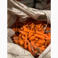 Продам морковку на пераработку