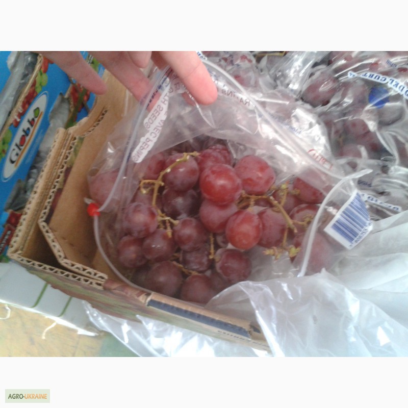Фото 9. Продаем виноград