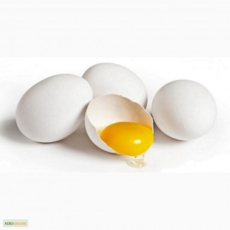 Яйца С-1 и С-0 по выгодной цене