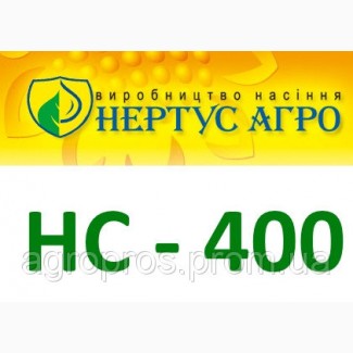 Продам гібрид кукурузи НС-400 (НЕРТУС-АГРО)