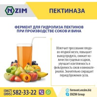 Пектиназа (Pectinase) Фермент