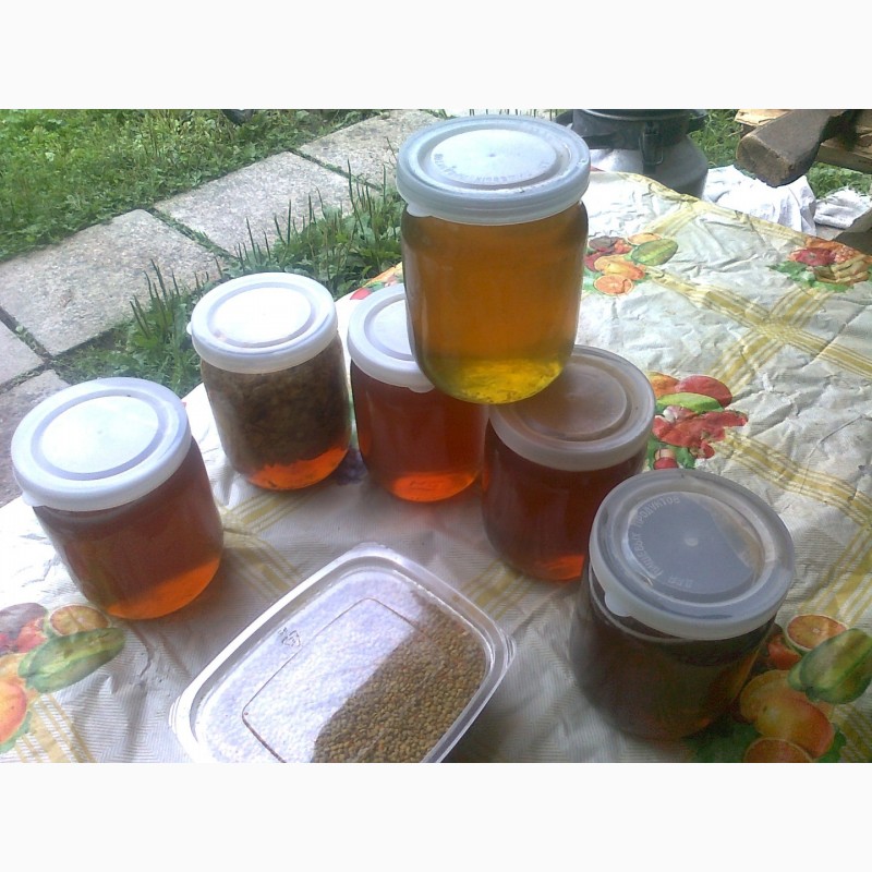 Фото 5. Мед, мёд, пилок, прополіс