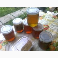 Мед, мёд, пилок, прополіс