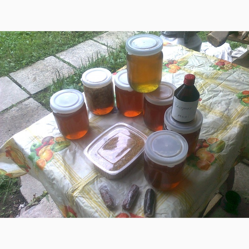 Фото 6. Мед, мёд, пилок, прополіс