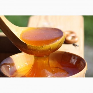 Продам мед, сонях 300кг ціна 43 грн
