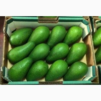 Продам авокадо из Испании оптом