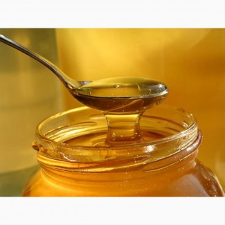 Продам липовый мед, урожай 2018 г