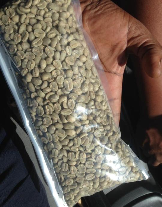 Прода кофе зелённый Арабика и робуста оптом из Республики Конга