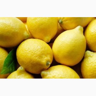 Куплю оптом лимон