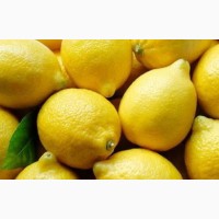 Куплю оптом лимон