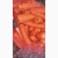 Продам морковь на консервации, соки, пюре