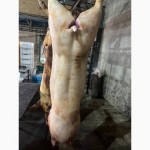 Мясо свинины Одесса продажа